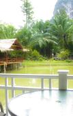 Туры в отель Raipreda Homestay Туры в отель Raipreda Homestay