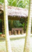 Туры в отель Raipreda Homestay Туры в отель Raipreda Homestay