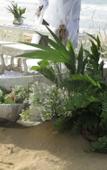 Туры в отель Villa Maranata Туры в отель Villa Maranata