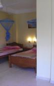 Туры в отель The Rainforest Ecolodge Туры в отель The Rainforest Ecolodge