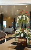 Туры в отель Tien Thanh Hotel Туры в отель Tien Thanh Hotel