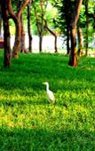 Туры в отель VGP Golden Beach Resort Туры в отель VGP Golden Beach Resort