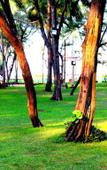 Туры в отель VGP Golden Beach Resort Туры в отель VGP Golden Beach Resort