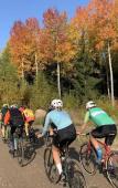 Туры в отель Backby Manor Туры в отель Backby Manor