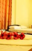 Туры в отель Mount View Туры в отель Mount View