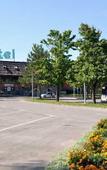 Туры в отель Grabovac Туры в отель Grabovac