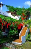Туры в отель Youdin Kindee Farmstay Туры в отель Youdin Kindee Farmstay