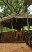 Туры в отель Sujatha Tourist Rest Туры в отель Sujatha Tourist Rest