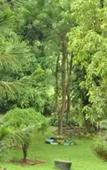 Туры в отель Sujatha Tourist Rest Туры в отель Sujatha Tourist Rest