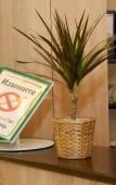 Туры в отель Отель Small Hotel Туры в отель Отель Small Hotel