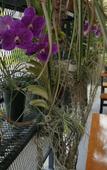 Туры в отель ZEN Rooms Ricco Suvarnabhumi Туры в отель ZEN Rooms Ricco Suvarnabhumi