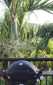 Туры в отель Stephna Residence Туры в отель Stephna Residence