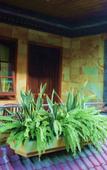 Туры в отель Segara Sadhu Inn Kuta by ecommerceloka Туры в отель Segara Sadhu Inn Kuta by ecommerceloka