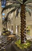 Туры в отель The LaLiT Great Eastern Kolkata Туры в отель The LaLiT Great Eastern Kolkata