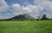 Туры в отель Kalundewa Retreat Туры в отель Kalundewa Retreat