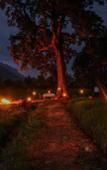 Туры в отель Kalundewa Retreat Туры в отель Kalundewa Retreat