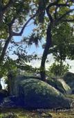 Туры в отель Villa Birdlake Туры в отель Villa Birdlake