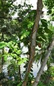 Туры в отель Villa Birdlake Туры в отель Villa Birdlake