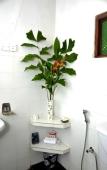 Туры в отель Villa Birdlake Туры в отель Villa Birdlake
