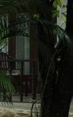 Туры в отель Heavens Holiday Resort Туры в отель Heavens Holiday Resort