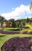 Туры в отель Grand Bahia Principe Tulum Туры в отель Grand Bahia Principe Tulum