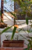 Туры в отель Riad Chams Marrakech Туры в отель Riad Chams Marrakech