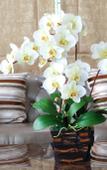 Туры в отель Methavalai Residence Туры в отель Methavalai Residence