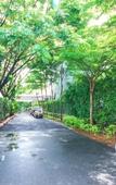 Туры в отель Rimkhobfa Urban Resort Туры в отель Rimkhobfa Urban Resort
