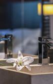Туры в отель Budapest Airport Hotel Stacio Wellness & Conference Туры в отель Budapest Airport Hotel Stacio Wellness & Conference