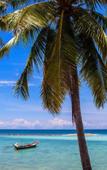Туры в отель Sand Shine Villa Туры в отель Sand Shine Villa