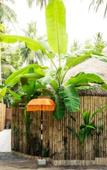 Туры в отель Sand Shine Villa Туры в отель Sand Shine Villa