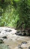 Туры в отель Yeh Panes Bali Туры в отель Yeh Panes Bali