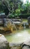 Туры в отель Yeh Panes Bali Туры в отель Yeh Panes Bali