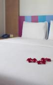 Туры в отель My House Hotel Туры в отель My House Hotel