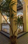 Туры в отель Palais D'hotes Suites & SPA Fes Туры в отель Palais D'hotes Suites & SPA Fes