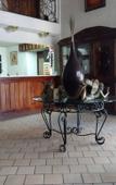Туры в отель Hotel Don Quijote Plaza Туры в отель Hotel Don Quijote Plaza