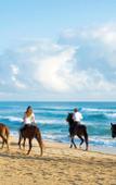 Туры в отель Excellence El Carmen - Adults Only All Inclusive Туры в отель Excellence El Carmen - Adults Only All Inclusive
