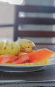 Туры в отель Sea World Boutique Hotel Туры в отель Sea World Boutique Hotel