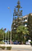 Туры в отель Maris Grand Waterpark Resort Туры в отель Maris Grand Waterpark Resort