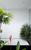 Туры в отель Villas Aelita Phuket Туры в отель Villas Aelita Phuket