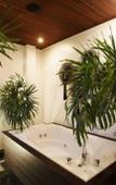 Туры в отель Villas Aelita Phuket Туры в отель Villas Aelita Phuket