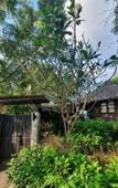 Туры в отель Sea Garden Resort - Haad Chao Phao Туры в отель Sea Garden Resort - Haad Chao Phao