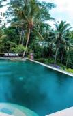 Туры в отель Umasari Rice Terrace Villa Туры в отель Umasari Rice Terrace Villa