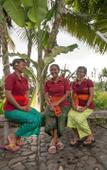 Туры в отель Umasari Rice Terrace Villa Туры в отель Umasari Rice Terrace Villa