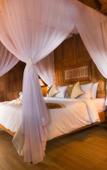 Туры в отель Umasari Rice Terrace Villa Туры в отель Umasari Rice Terrace Villa