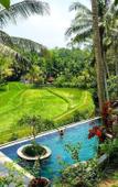 Туры в отель Umasari Rice Terrace Villa Туры в отель Umasari Rice Terrace Villa