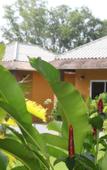 Туры в отель The Park Drive-Thru Check-In Resort Туры в отель The Park Drive-Thru Check-In Resort