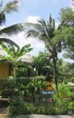 Туры в отель The Park Drive-Thru Check-In Resort Туры в отель The Park Drive-Thru Check-In Resort