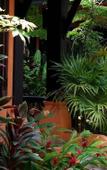 Туры в отель The Shambhala Khaolak Resort Туры в отель The Shambhala Khaolak Resort