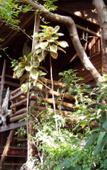 Туры в отель Sabai Corner Bungalows Туры в отель Sabai Corner Bungalows